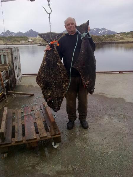 Rooms For Rent Bo (Nordland) Экстерьер фото
